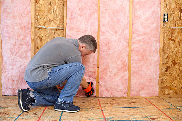 Best Eco-Friendly Insulation in Kent Acres, DE