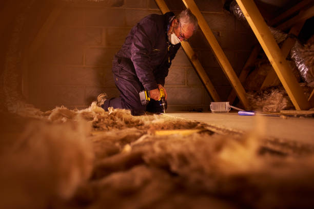 Best DIY Insulation Kits and Guidance in Kent Acres, DE